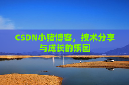 CSDN小猪博客，技术分享与成长的乐园